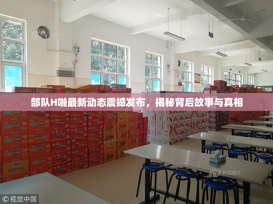 部队H啪最新动态震撼发布，揭秘背后故事与真相