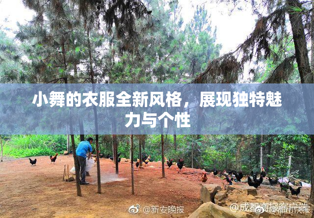 小舞的衣服全新风格，展现独特魅力与个性