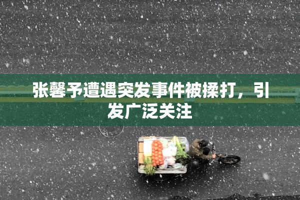 张馨予遭遇突发事件被揉打，引发广泛关注