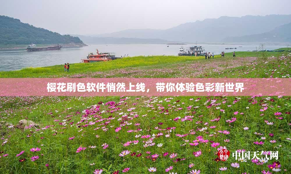 樱花刷色软件悄然上线，带你体验色彩新世界