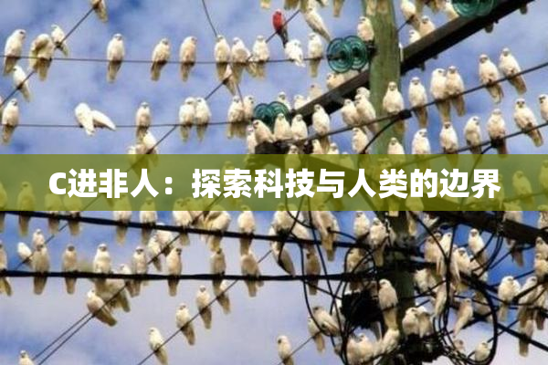 C进非人：探索科技与人类的边界