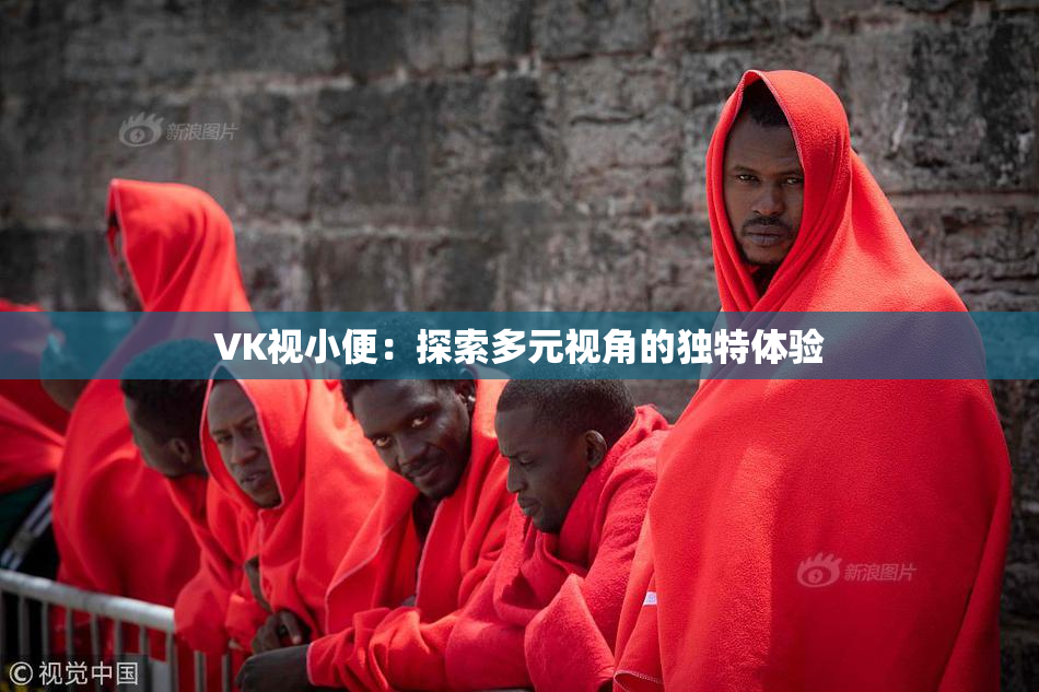 VK视小便：探索多元视角的独特体验
