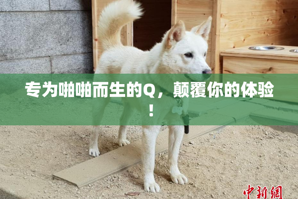 专为啪啪而生的Q，颠覆你的体验！