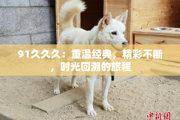 91久久久：重温经典，精彩不断，时光回溯的旅程