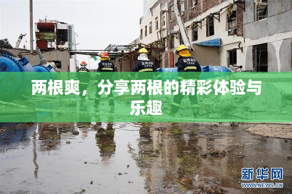 两根爽，分享两根的精彩体验与乐趣