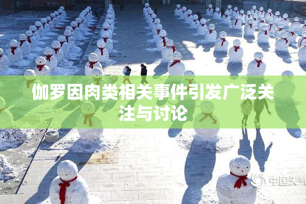 伽罗因肉类相关事件引发广泛关注与讨论