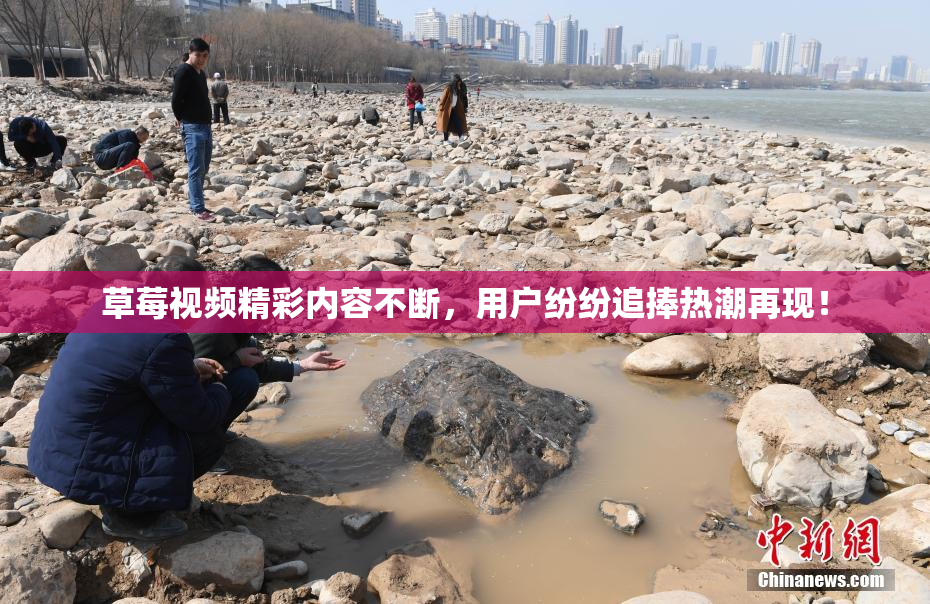 草莓视频精彩内容不断，用户纷纷追捧热潮再现！