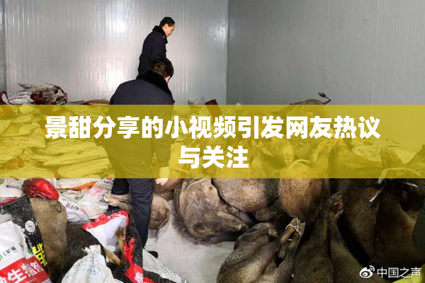 景甜分享的小视频引发网友热议与关注