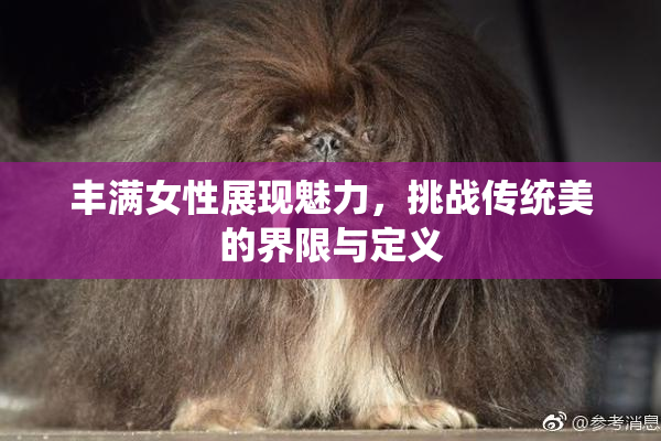 丰满女性展现魅力，挑战传统美的界限与定义