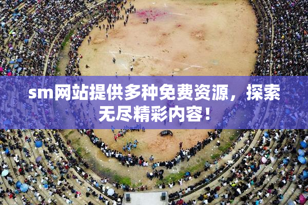 sm网站提供多种免费资源，探索无尽精彩内容！