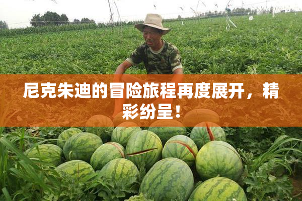 尼克朱迪的冒险旅程再度展开，精彩纷呈！