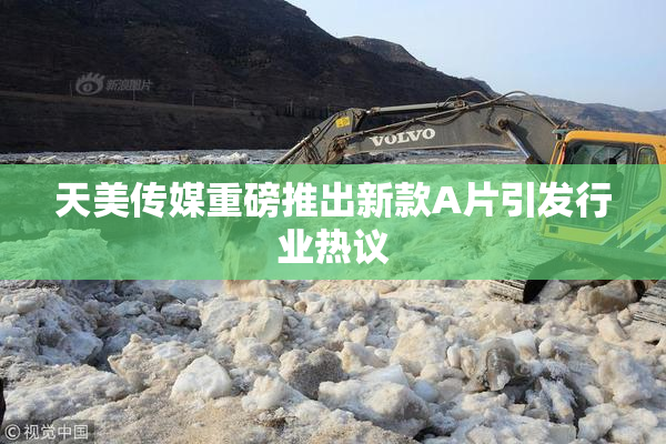 天美传媒重磅推出新款A片引发行业热议
