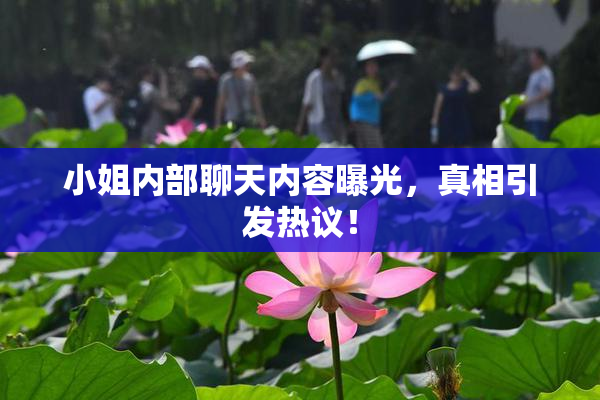 小姐内部聊天内容曝光，真相引发热议！