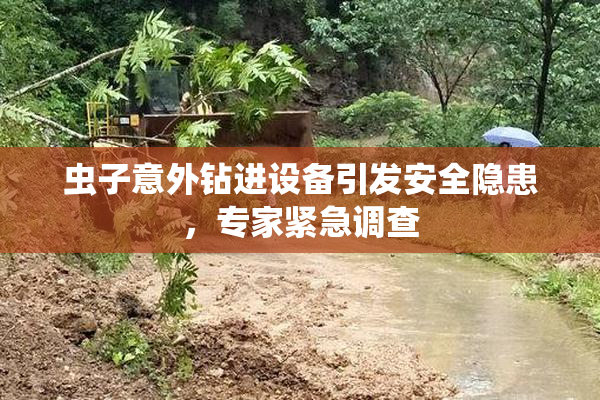 虫子意外钻进设备引发安全隐患，专家紧急调查