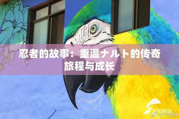 忍者的故事：重温ナルト的传奇旅程与成长