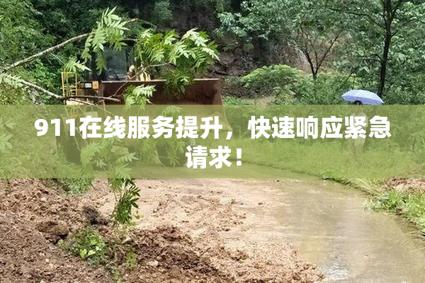 911在线服务提升，快速响应紧急请求！