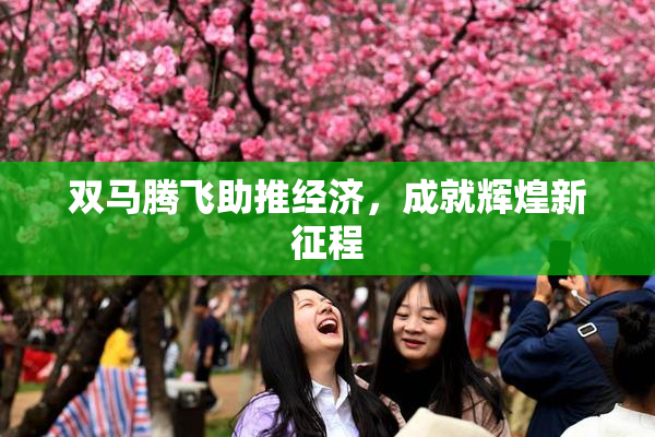 双马腾飞助推经济，成就辉煌新征程