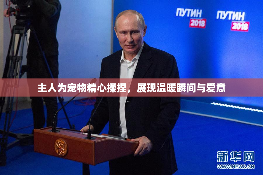 主人为宠物精心揉捏，展现温暖瞬间与爱意