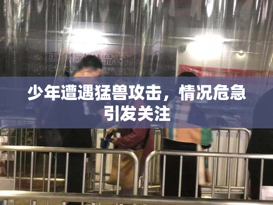 少年遭遇猛兽攻击，情况危急引发关注