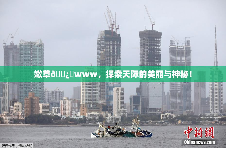 嫩草🌿‌www，探索天际的美丽与神秘！