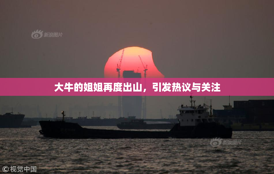 大牛的姐姐再度出山，引发热议与关注