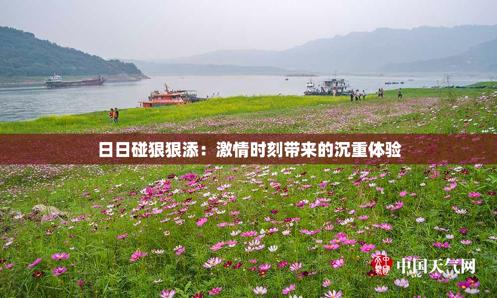 日日碰狠狠添：激情时刻带来的沉重体验