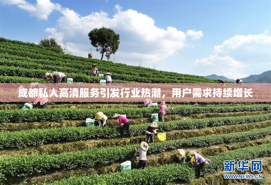 成都私人高清服务引发行业热潮，用户需求持续增长
