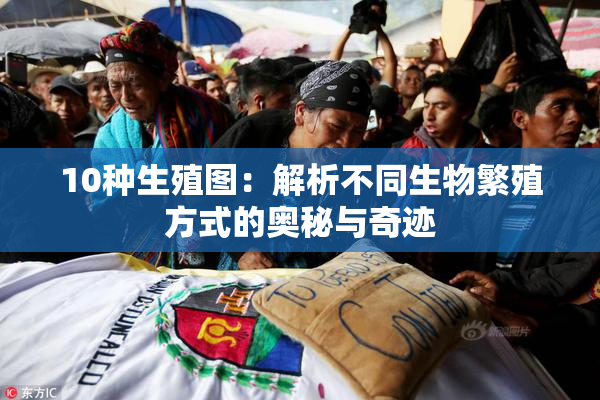 10种生殖图：解析不同生物繁殖方式的奥秘与奇迹