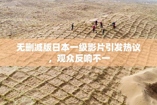 无删减版日本一级影片引发热议，观众反响不一