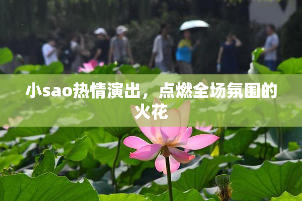 小sao热情演出，点燃全场氛围的火花