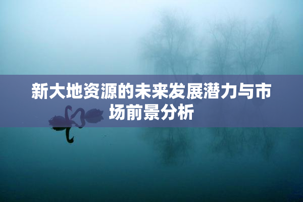 新大地资源的未来发展潜力与市场前景分析