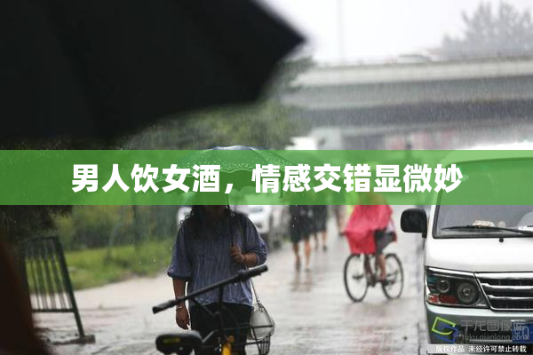 男人饮女酒，情感交错显微妙