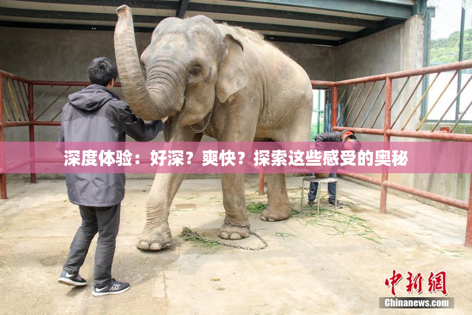 深度体验：好深？爽快？探索这些感受的奥秘