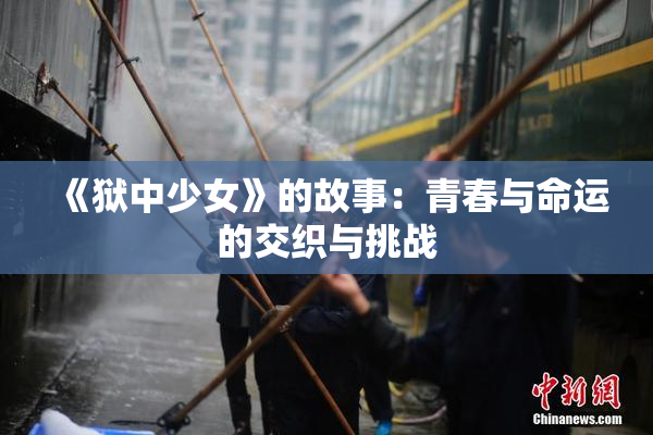 《狱中少女》的故事：青春与命运的交织与挑战
