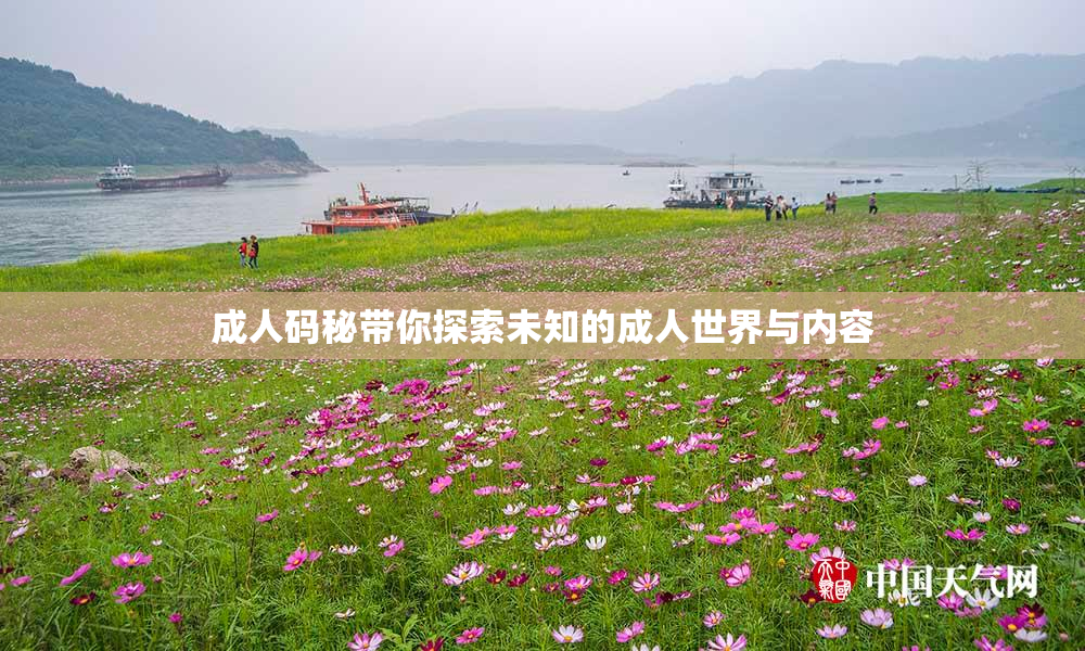 成人码秘带你探索未知的成人世界与内容