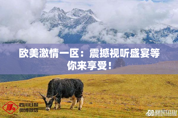 欧美激情一区：震撼视听盛宴等你来享受！