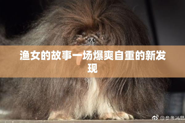 渔女的故事一场爆爽自重的新发现