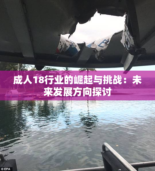 成人18行业的崛起与挑战：未来发展方向探讨