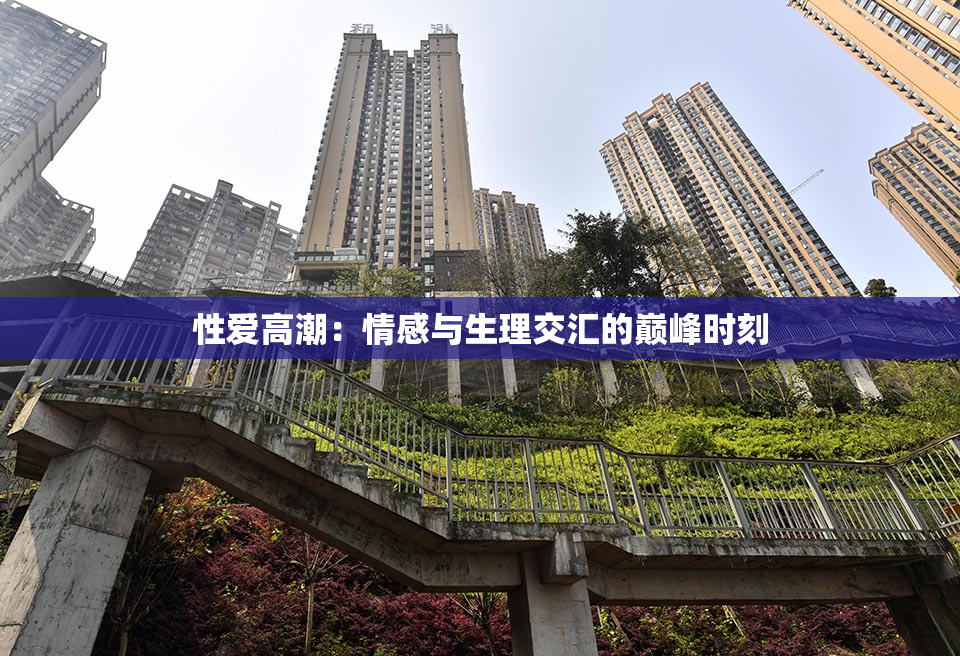 性爱高潮：情感与生理交汇的巅峰时刻