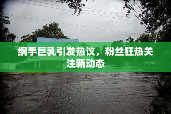 纲手巨乳引发热议，粉丝狂热关注新动态