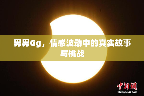 男男Gg，情感波动中的真实故事与挑战