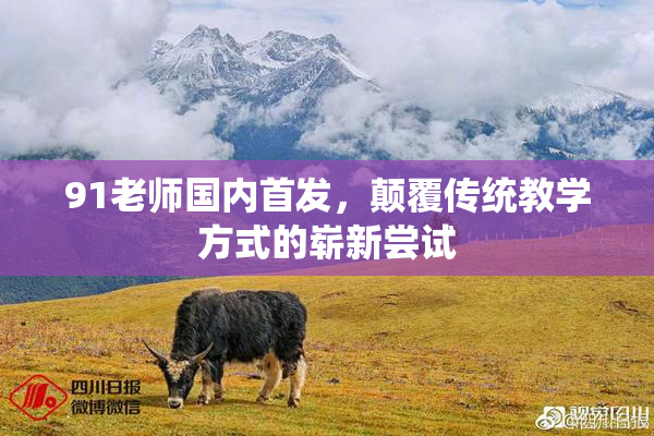 91老师国内首发，颠覆传统教学方式的崭新尝试