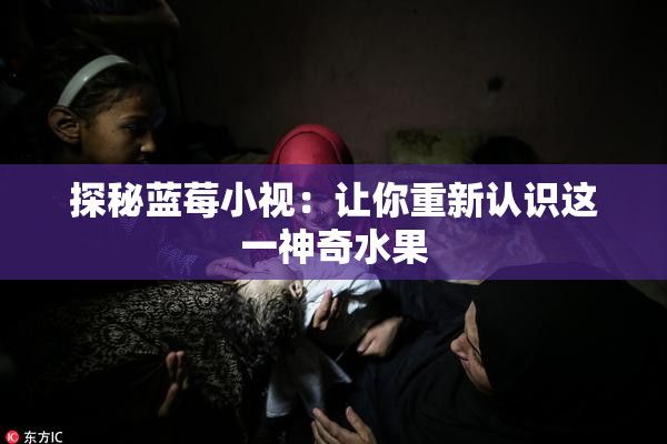 探秘蓝莓小视：让你重新认识这一神奇水果