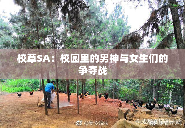 校草SA：校园里的男神与女生们的争夺战