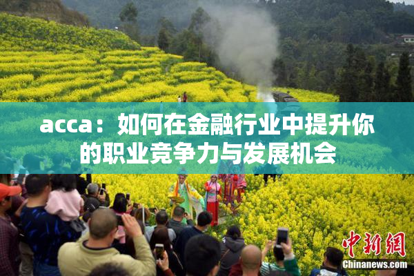 acca：如何在金融行业中提升你的职业竞争力与发展机会