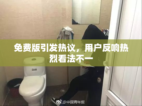 免费版引发热议，用户反响热烈看法不一