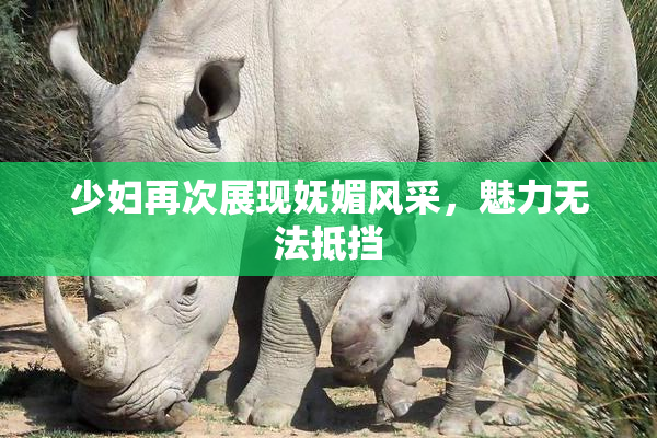 少妇再次展现妩媚风采，魅力无法抵挡