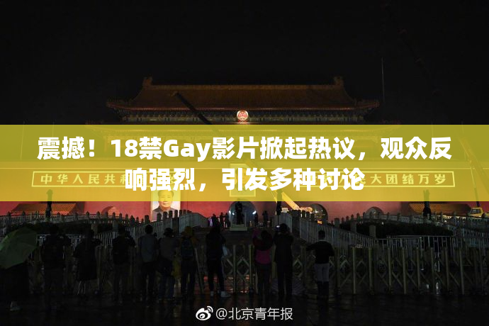 震撼！18禁Gay影片掀起热议，观众反响强烈，引发多种讨论