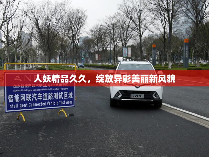 人妖精品久久，绽放异彩美丽新风貌