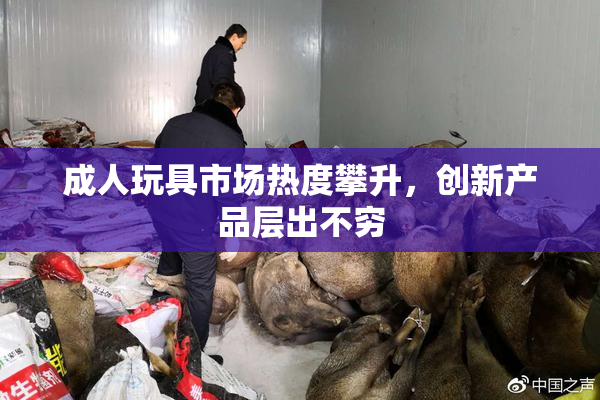 成人玩具市场热度攀升，创新产品层出不穷